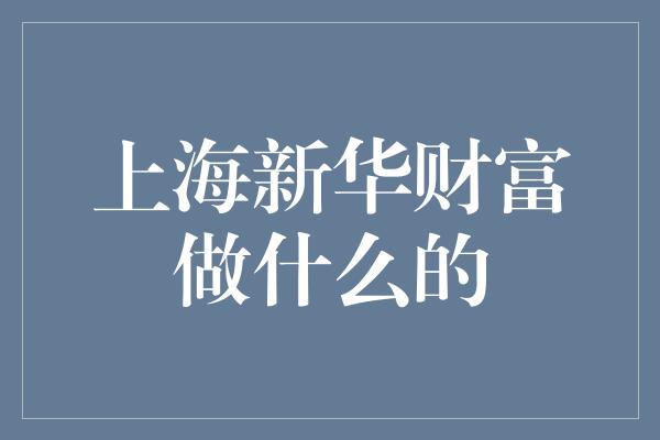 上海新华财富做什么的