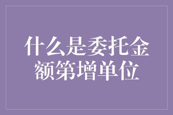 什么是委托金额第增单位