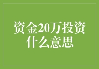 20万元投资，另类选择揭秘！